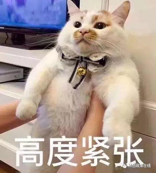 2020年国家高新认定政策评审出新规,企业申请要趁早! 2020年国家高新认定政策评审出新规,企业申请要趁早!