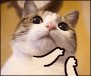 注册公司要多少钱？公司每年需要交哪些费用？